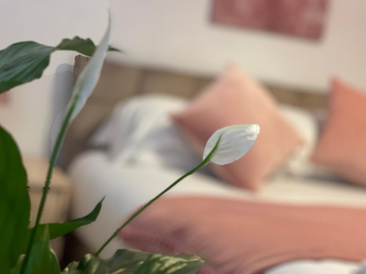 Penderi House Usk With Cymru Holidays Екстериор снимка